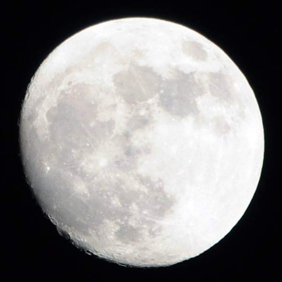 Meet your Posher, Rachel - Picture 1 of 1